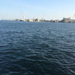 タチウオワインド