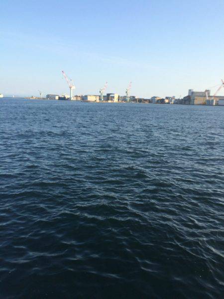 タチウオワインド