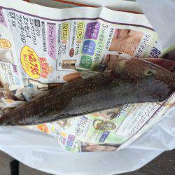 敦賀デイロック