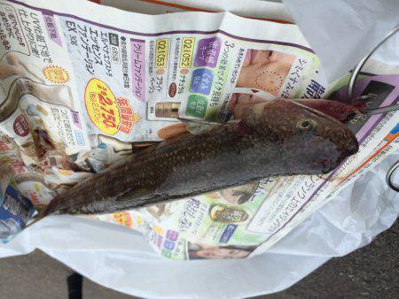 敦賀デイロック