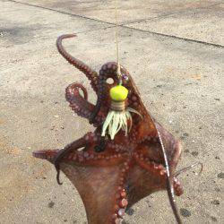 数が減りサイズが増える