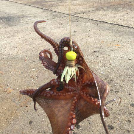 数が減りサイズが増える