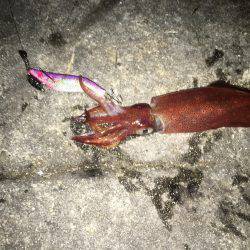 短時間で満足しました！