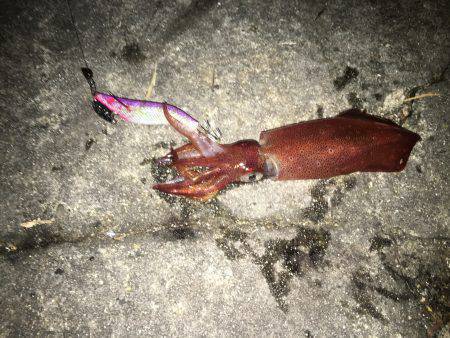 短時間で満足しました！