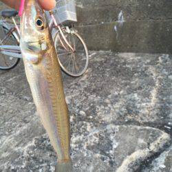 ワームでキス♪