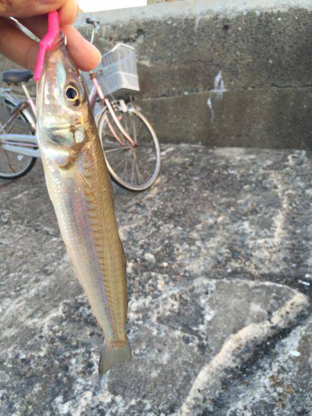 ワームでキス♪