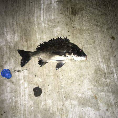 ビックリなお客さん