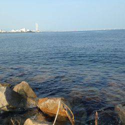 ライトショアジギング