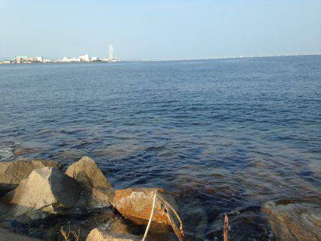 ライトショアジギング