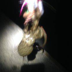 オクトパッシング