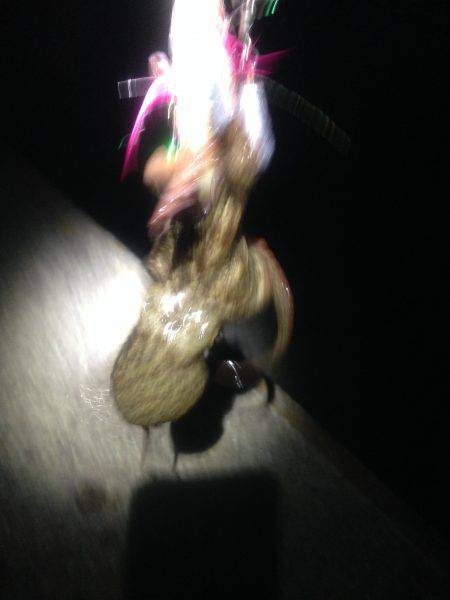 オクトパッシング