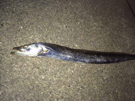 アジングのつもり