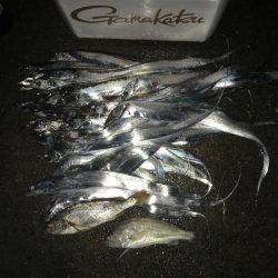 ジギング馬鹿タチウオ馬鹿