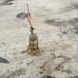 南はサイズがいい