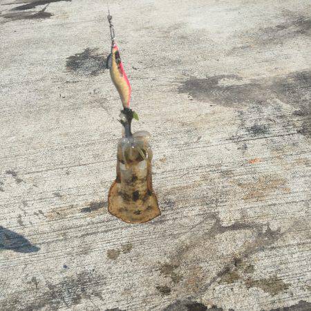 南はサイズがいい