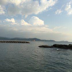 まだいた!!田ノ浦漁港エギング11回目