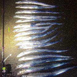 北港太刀魚‼︎