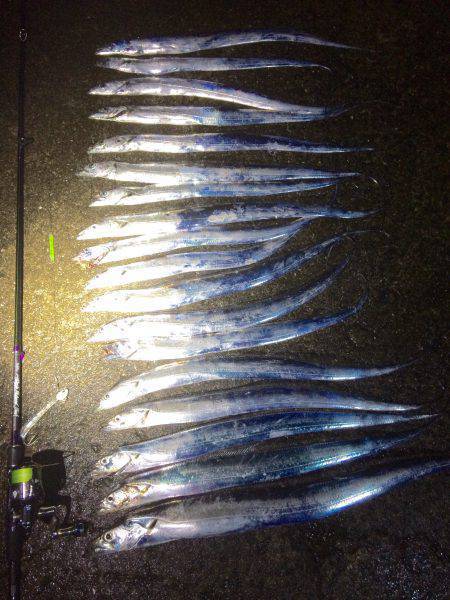 北港太刀魚‼︎