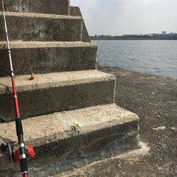 まだタコなんとかいけめすね(^_^)