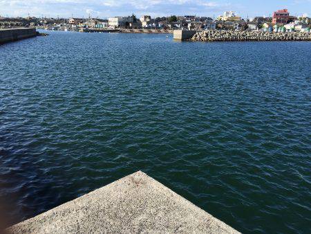 アジ×10〜15㎝×40匹