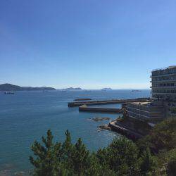 田ノ浦漁港エギング12回目