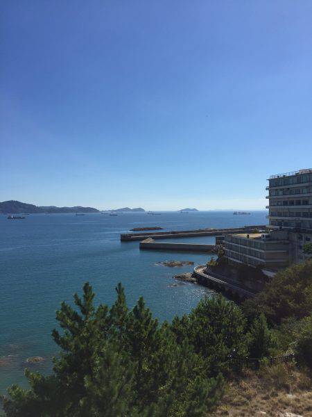 田ノ浦漁港エギング12回目