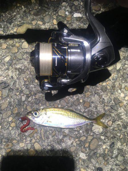 鱗付けアジング