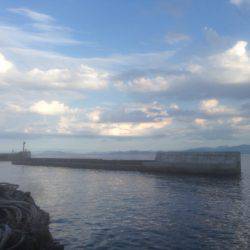 暑さに負けず 伊根調査