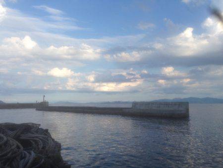 暑さに負けず 伊根調査