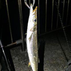 新港ナイトゲーム