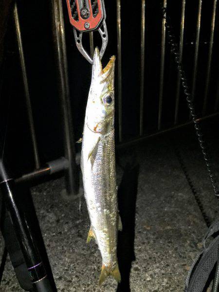 新港ナイトゲーム