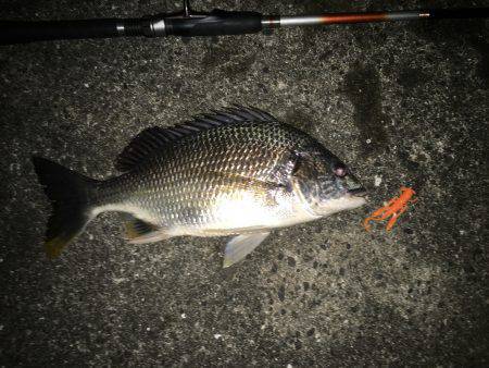 連日でチニング