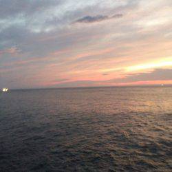 ショアジギでサバゲー