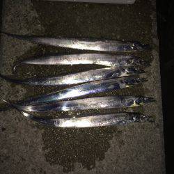 仕事帰りの太刀魚釣り