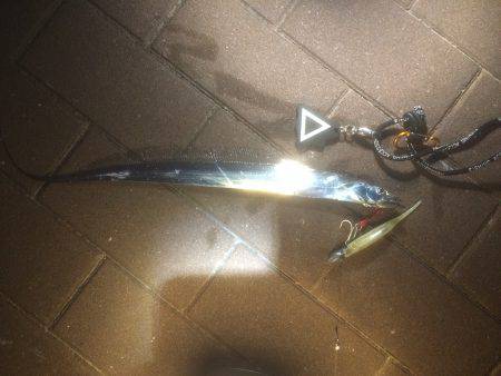 ベルトのち、スレ