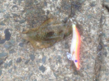 寝過ごし‥30分のみ