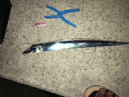 したしぶり釣行