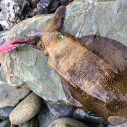 あちこちランガン‼︎