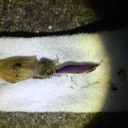 爆風。大雨。イカパンチ。