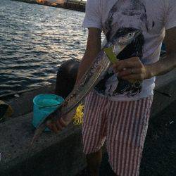 アジングでタチウオゲット！