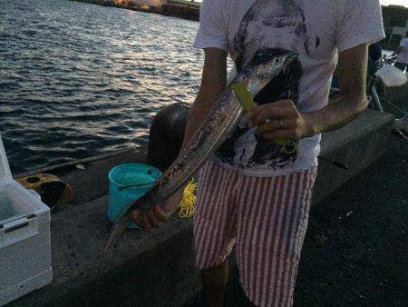 アジングでタチウオゲット！