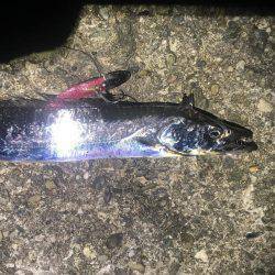 意地になってしまいました!