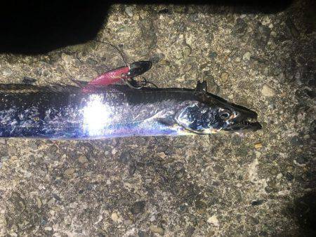 意地になってしまいました!