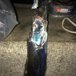 ちょっとサイズUP↑