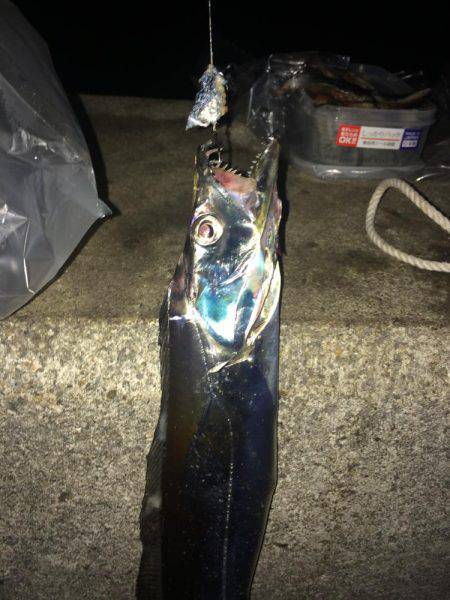 ちょっとサイズUP↑