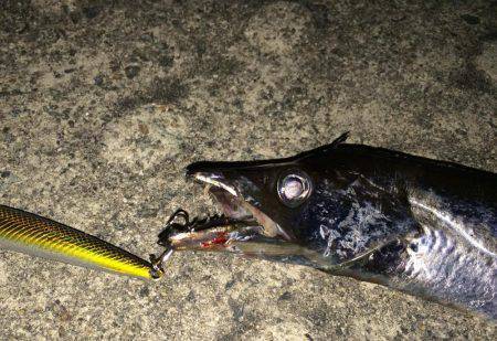 神戸空港   ミノーで1本