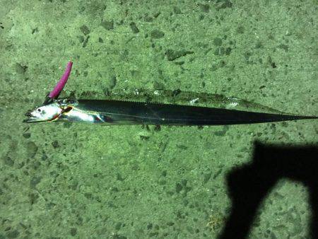 ちょい投げはダメだったけど…