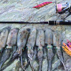 ウネリの中朝練エギング