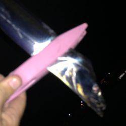 1年ぶりのタチウオ