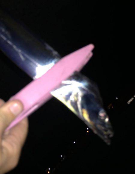 1年ぶりのタチウオ